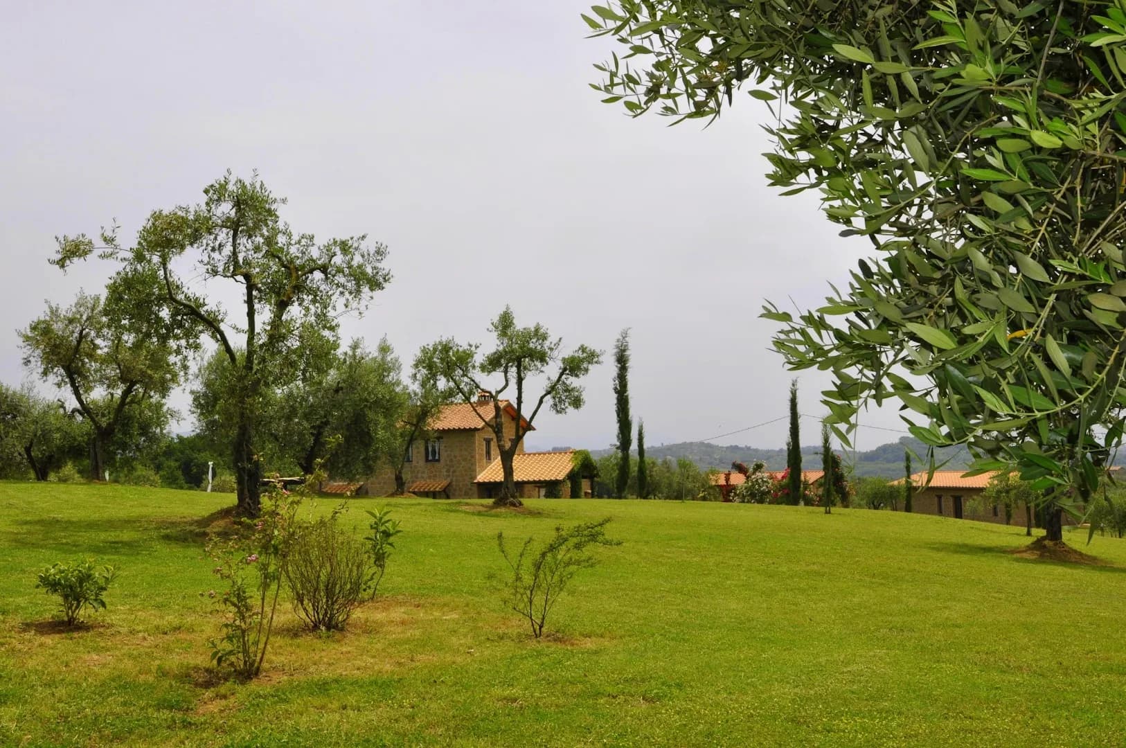Borgo Noci Querceto