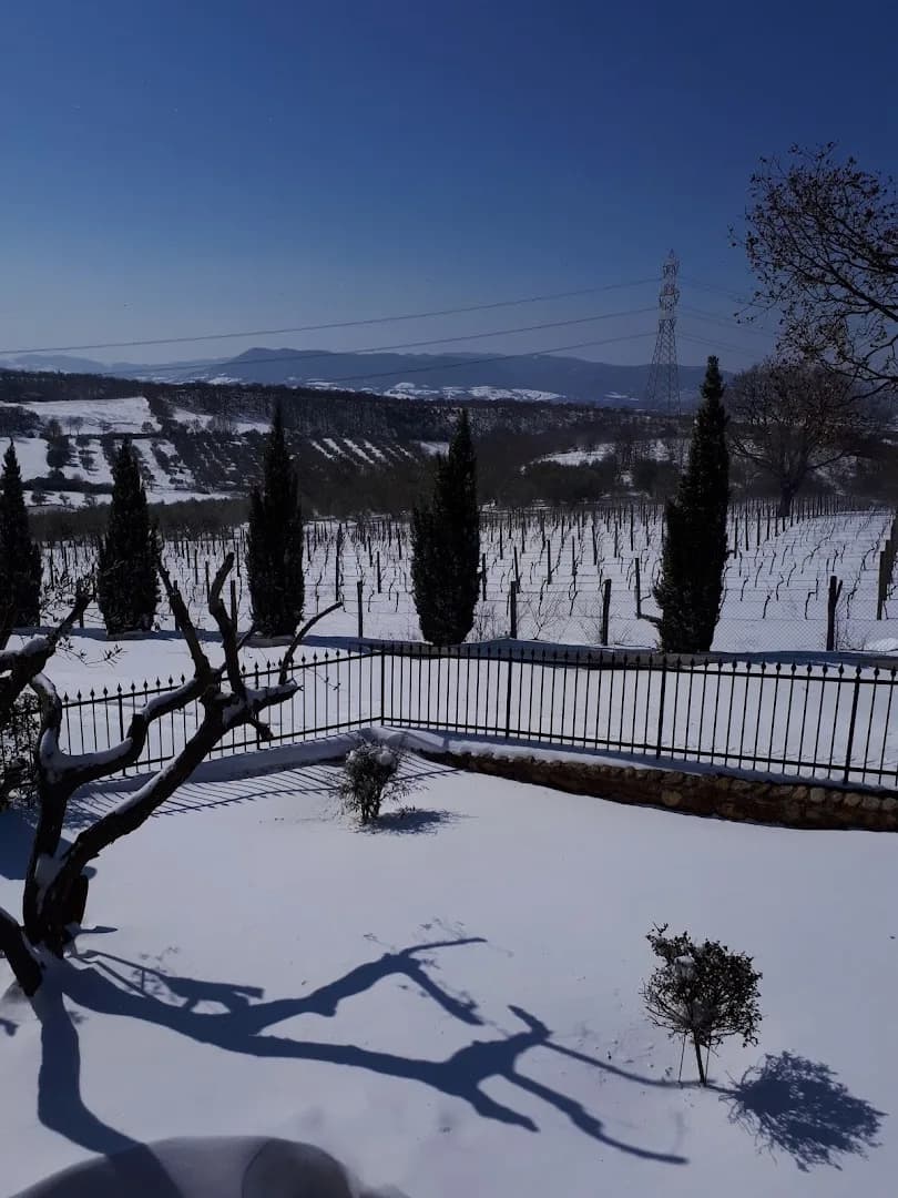 Agriturismo Poggio al Sasso